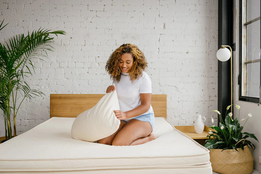 Thai Latex Pillow with Shredded Particles