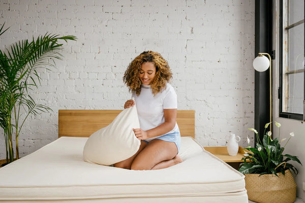 Thai Latex Pillow with Shredded Particles